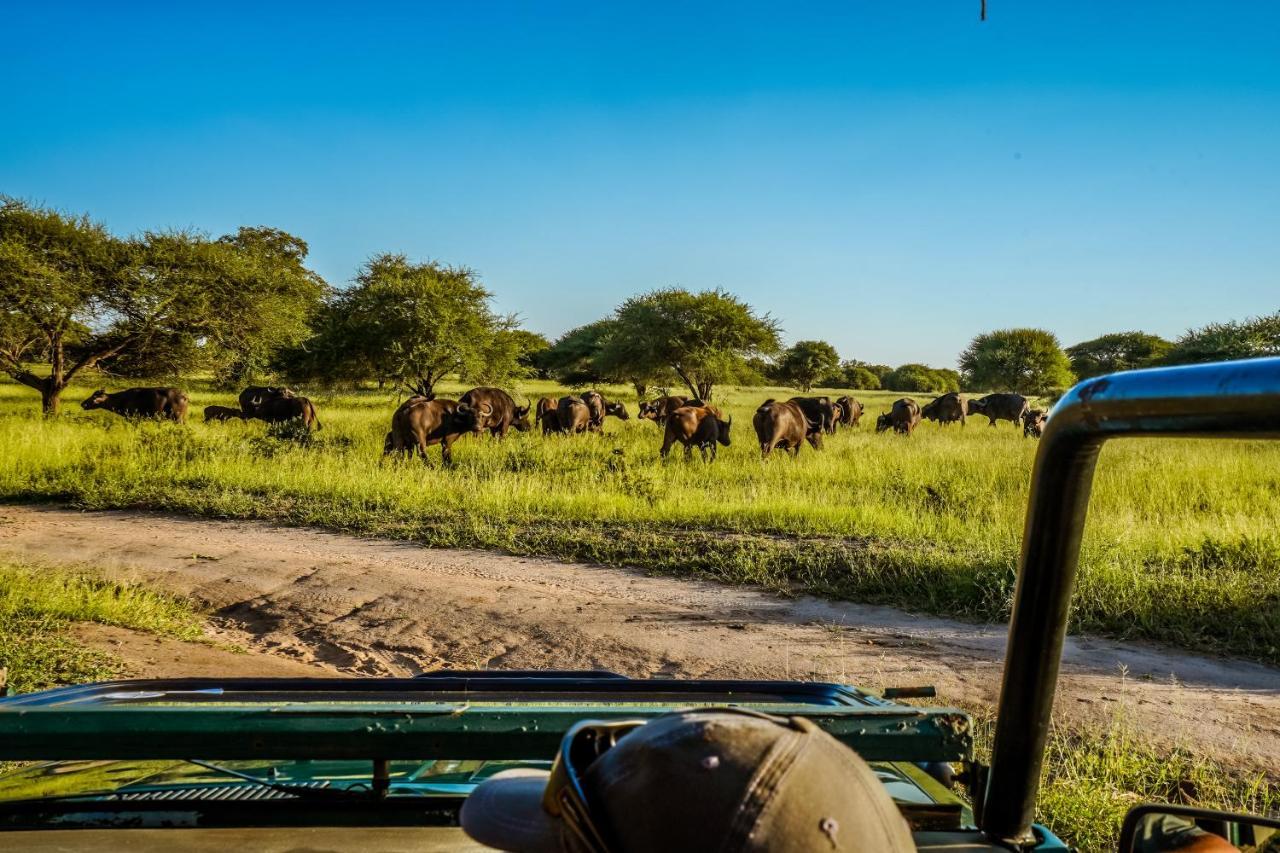 Africamps At Mackers Villa Хейзивю Екстериор снимка